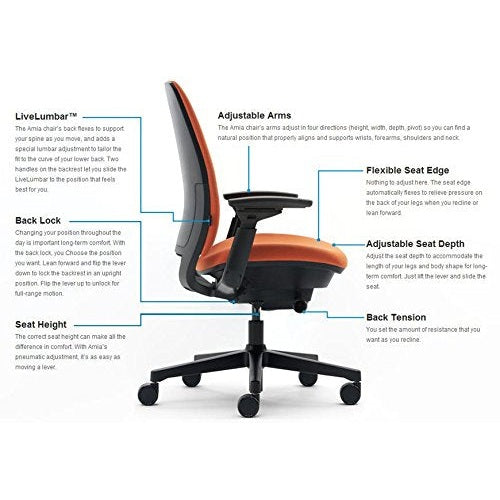 Steelcase Amia Task Chair: Platinum Frame/Base - 4 Way Adjustable Arms - Standard Carpet Casters - Medaid International