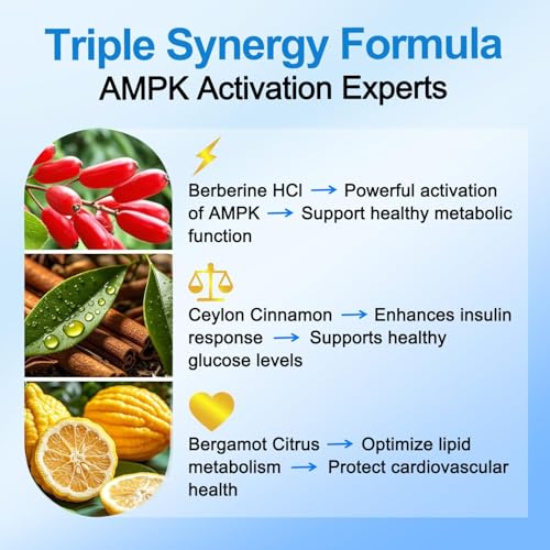 Premium Berberine Supplement Supports AMPK Metabolic, Liposomal Berberine with Ceylon Cinnamon - Classic 600mg Formula for Healthy Metabolism & Weigh*t - 3X Absorption - Vegan, Non-GMO, 120 Count - Medaid International