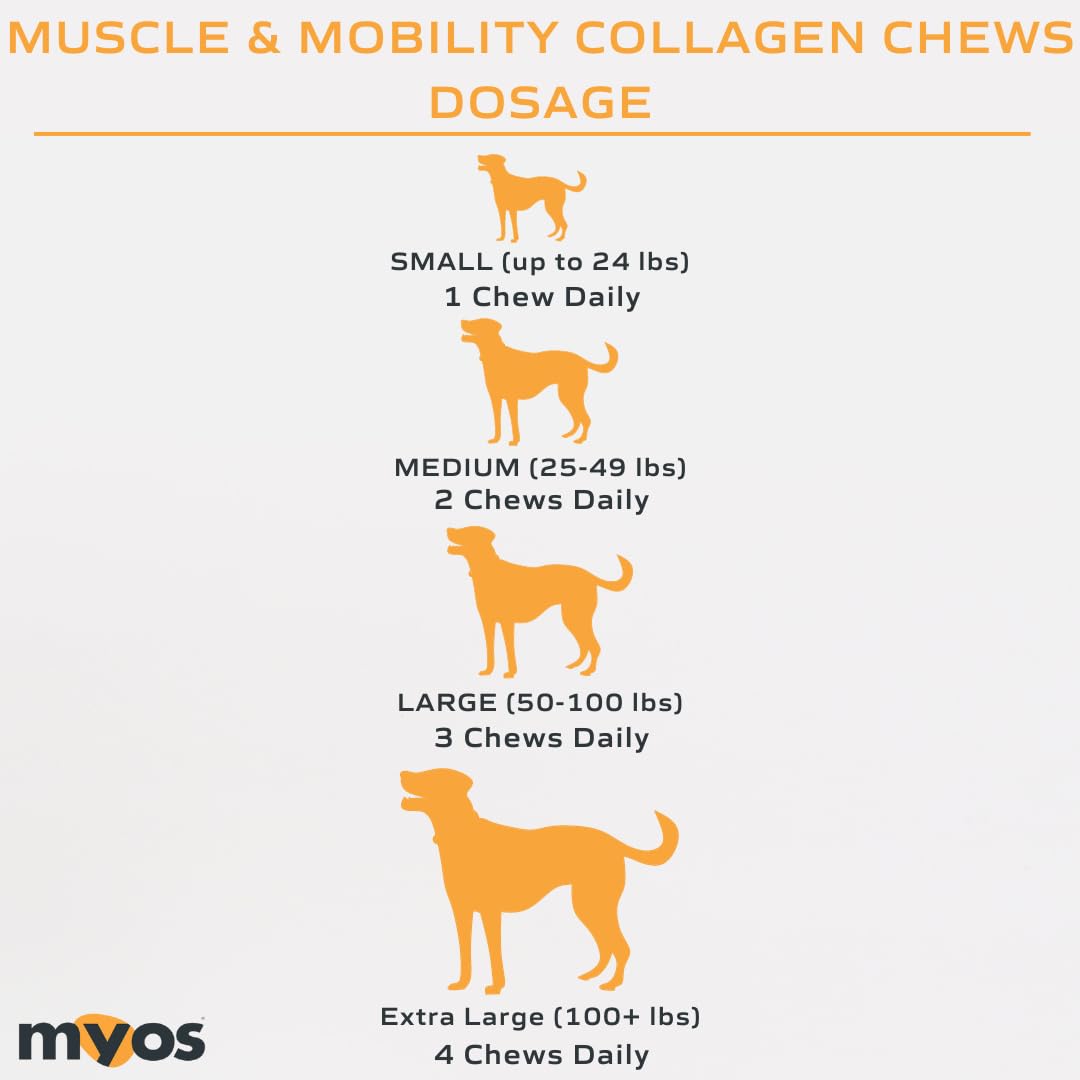 MYOS Canine Muscle & Mobility Chews – Collagen & Glucosamine for Dogs - Bacon Flavor Joint Supplement for Muscle, Bone & Joint Support, 60 Count - Medaid International