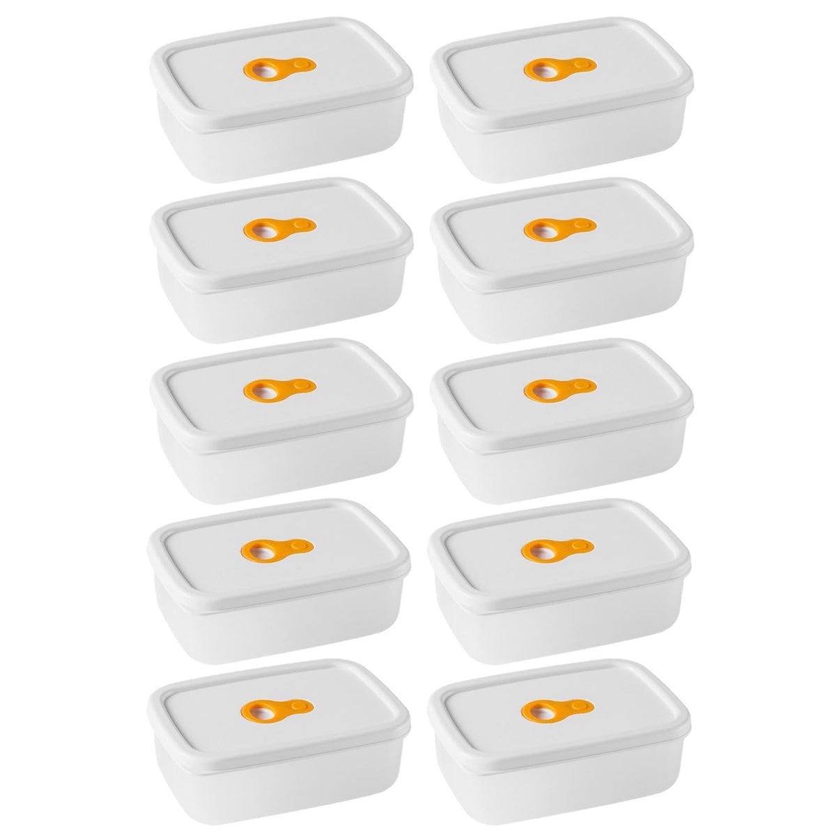 TERRIFI Containers for Food Storage & Meal Prep, 10 Pcs Set (310ml Each), Leakproof Reusable Design with Snap Lids, Ideal for Fruit, Snacks, & Vegetable Freshness