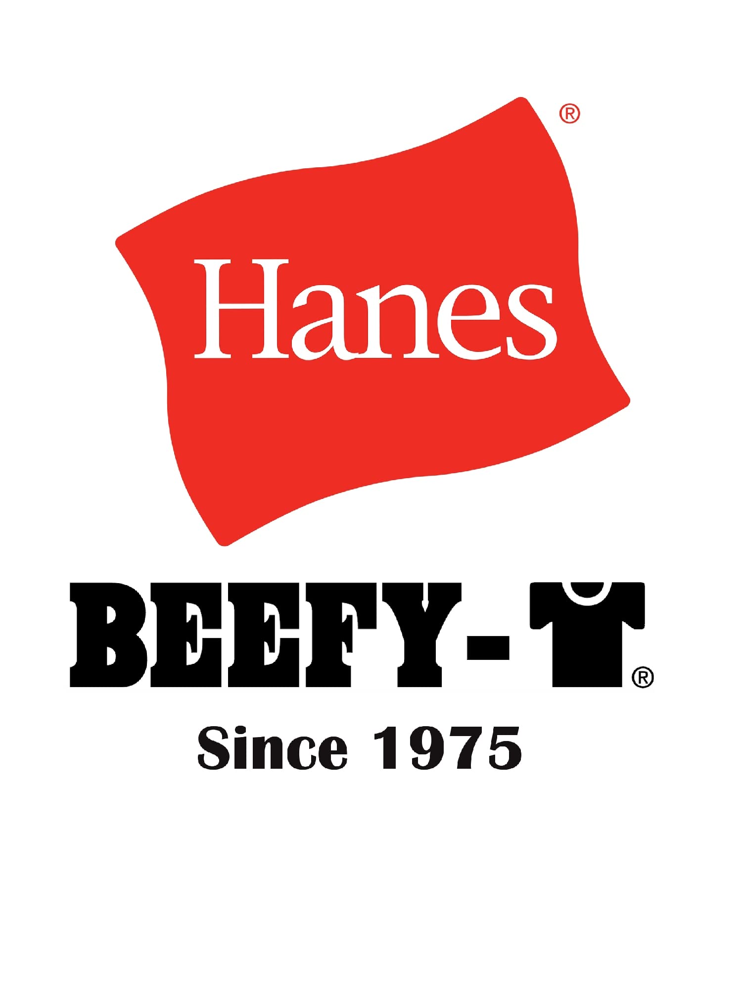 Hanes Men's Standard Beefy-T T-Shirt, Heavyweight Cotton Tee, 1 Or 2 Pack, Big & Tall Sizes, Black-1 Pack, 3X Large - Medaid International