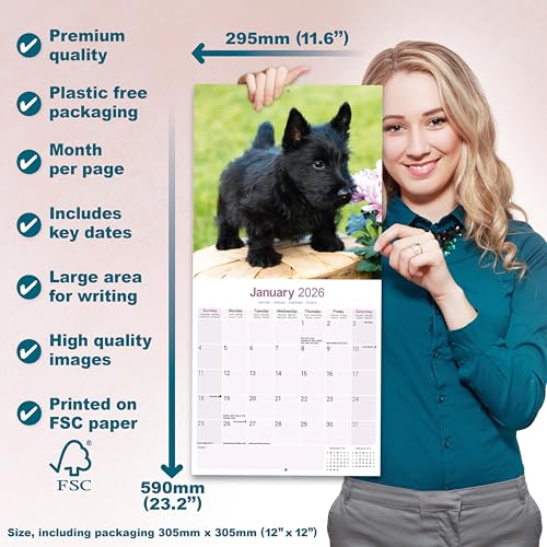 Scottish Terrier 2026 Calendar | Square Wall Calendar | Dog Breed Gift | Plastic Free Packaging | by Avonside Publishing - Medaid International