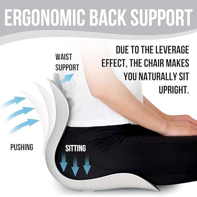 Petal Back Support Cushion