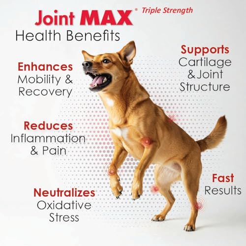 Joint MAX TS Joint Supplement Vet Formulated Pain & Inflammation Relief Treats Hip Dysplasia & Arthritis.Glucosamine, Chondroitin, Turmeric, MSM, HA, Creatine, Omega 3 EPA+DHA. All Dogs 240 Soft Chews