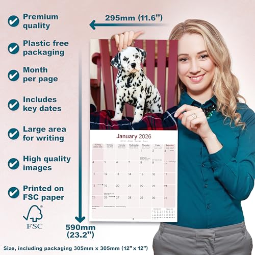 Dalmatian 2026 Calendar | Square Wall Calendar | Dog Breed Gift | Plastic Free Packaging | by Avonside Publishing - Medaid International