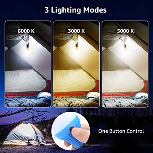Libro - Battery-Powered Camping Lantern Set, Warm White and Daylight Modes, Hanging Lantern, Power Outage Lights, 4-Pack (AAA Batteries)
