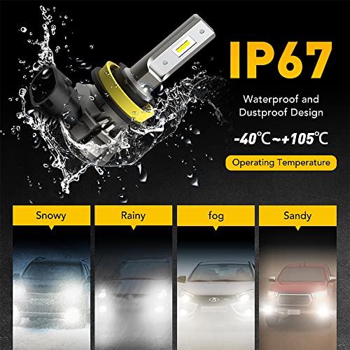 AUXITO - H11 Fog Light Bulbs 6500K White, 350% Brightness, Easy 8-min Install