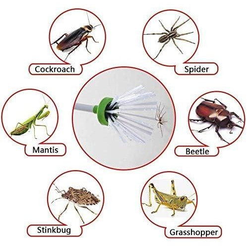 Bug Buster | Spider Catcher