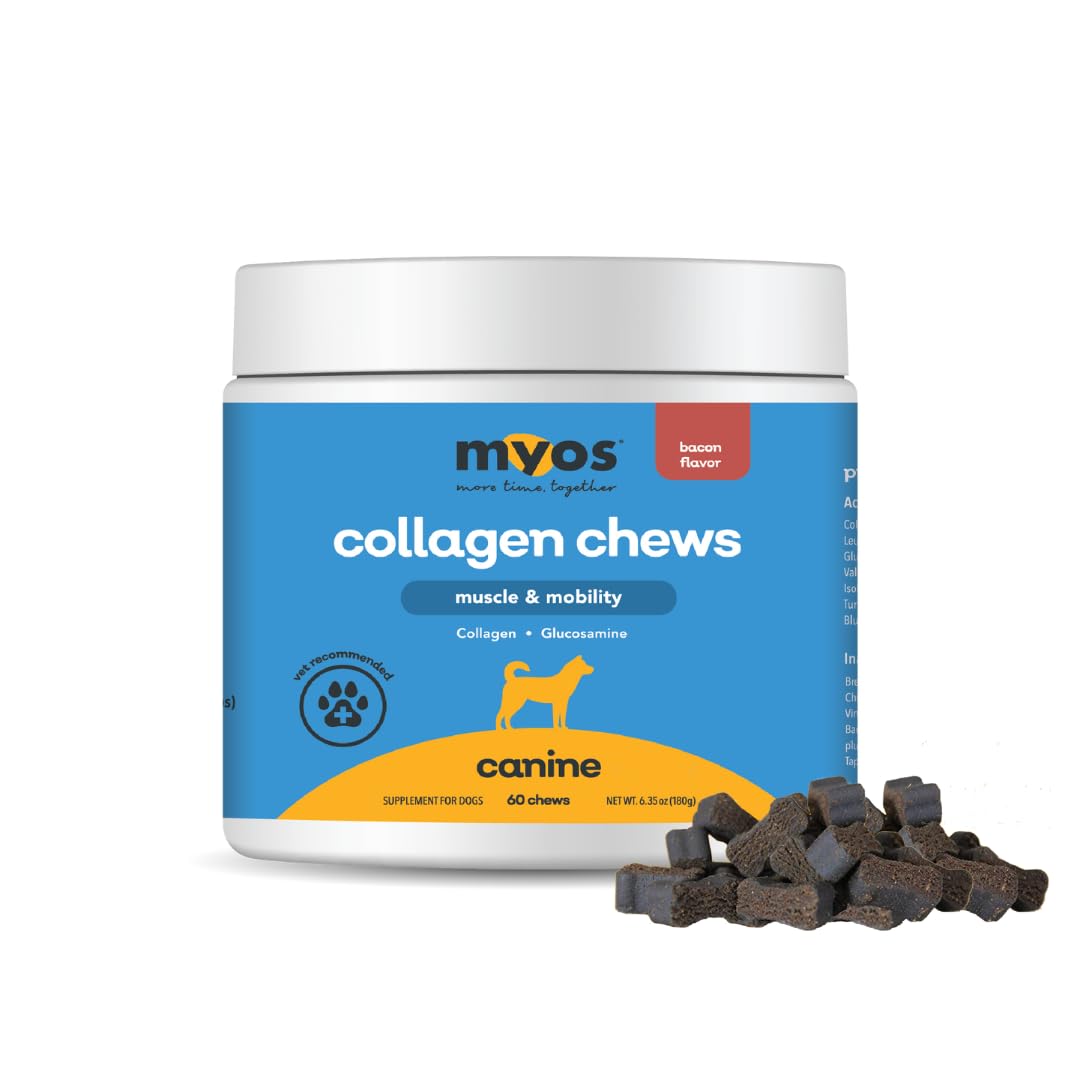 MYOS Canine Muscle & Mobility Chews – Collagen & Glucosamine for Dogs - Bacon Flavor Joint Supplement for Muscle, Bone & Joint Support, 60 Count - Medaid International