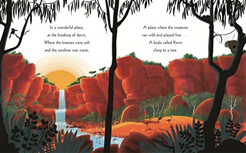 The koala who could - Medaid International