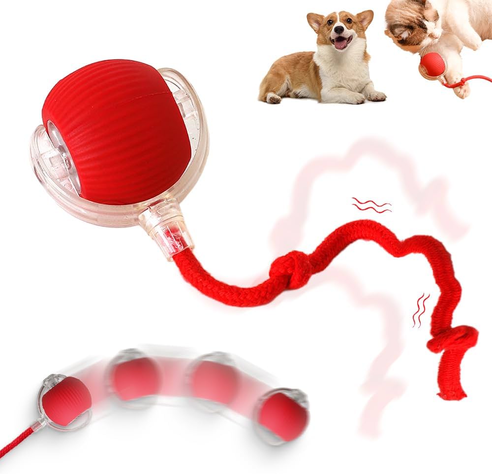 Interactive Pet Rolling Ball كرة تفاعلية للحيوانات الأليفة