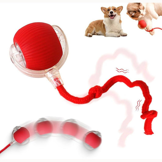 Interactive Pet Rolling Ball كرة تفاعلية للحيوانات الأليفة