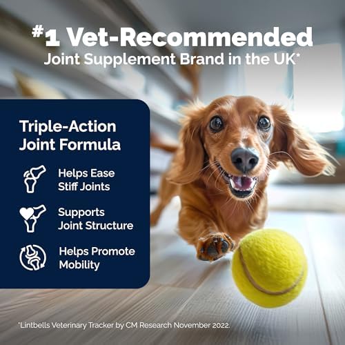 Yumove Hip & Joint Supplement for Dogs with Glucosamine, Hyaluronic Acid, Green Lipped Mussel & Omega 3 Joint Supplement - Regular or Advanced Strength (90 Count, Advanced Vet Strength Soft Chews)|B0FDLDKRCH