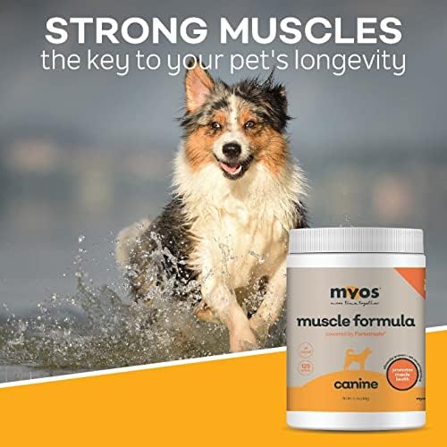 MYOS Canine Muscle Formula - All-Natural Muscle Building Supplement - Helps Reduce Muscle Loss in Dogs Due to Normal Aging and Improves Recovery from Injury or Surgery - Medaid International