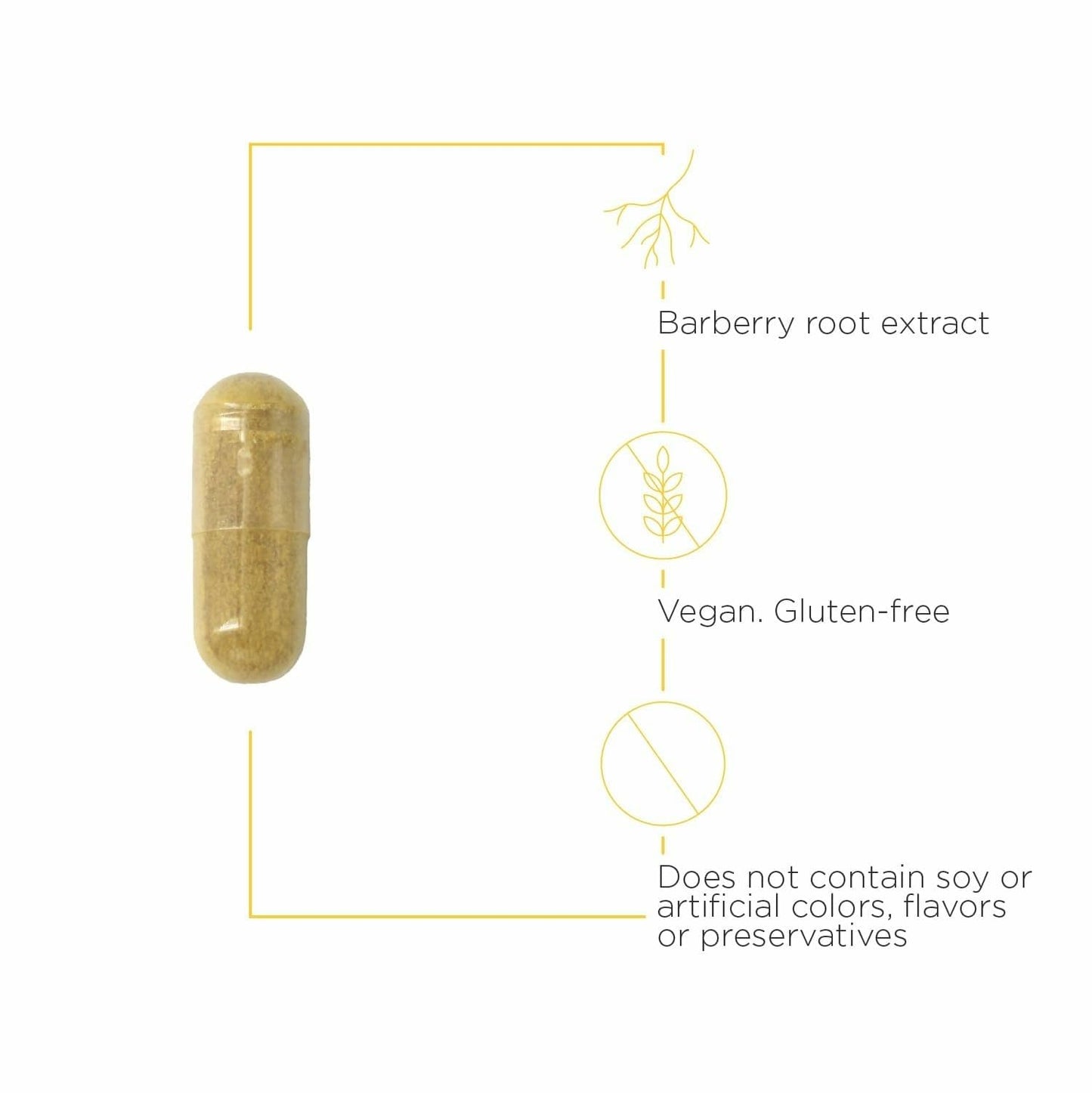 Integrative Therapeutics Berberine Complex - Digestive & Gut Health Supplement* - Vegan, Gluten-Free & Dairy-Free - 90 Capsules (45 Servings) - Medaid International