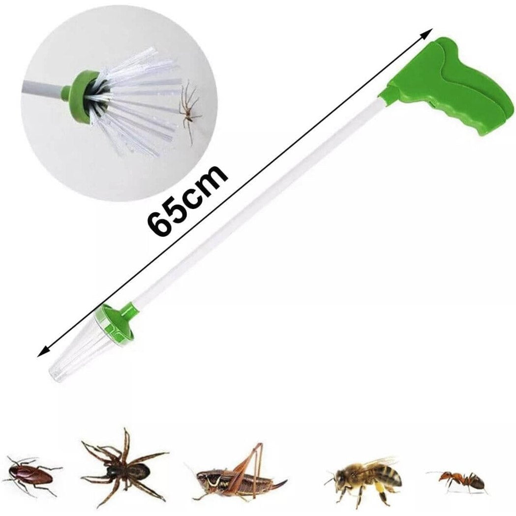 Spider and Insect Catcher