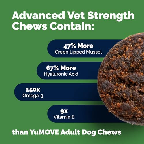 Yumove Hip & Joint Supplement for Dogs with Glucosamine, Hyaluronic Acid, Green Lipped Mussel & Omega 3 Joint Supplement - Regular or Advanced Strength (90 Count, Advanced Vet Strength Soft Chews)|B0FDLDKRCH