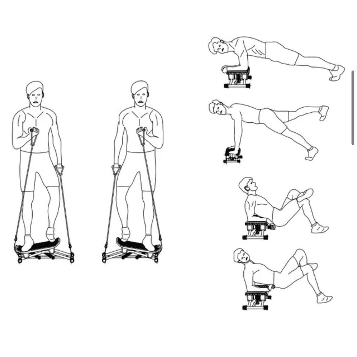 Body Shape