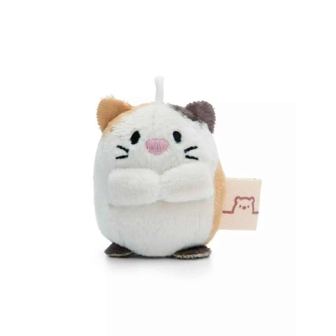 Cat Angy Soft Ice Cream Assorted - Medaid International