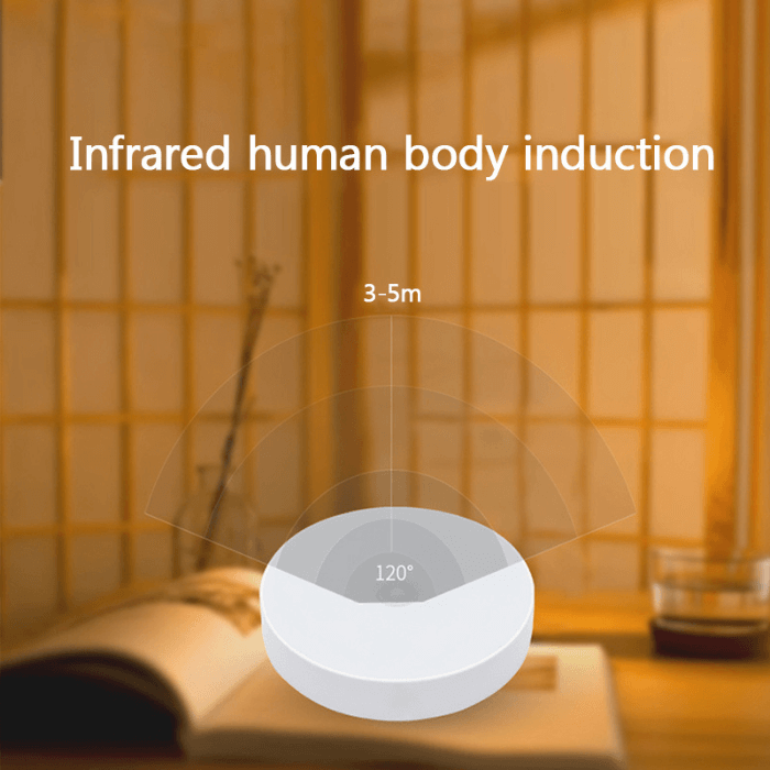 Motion Light Sensor - Medaid International
