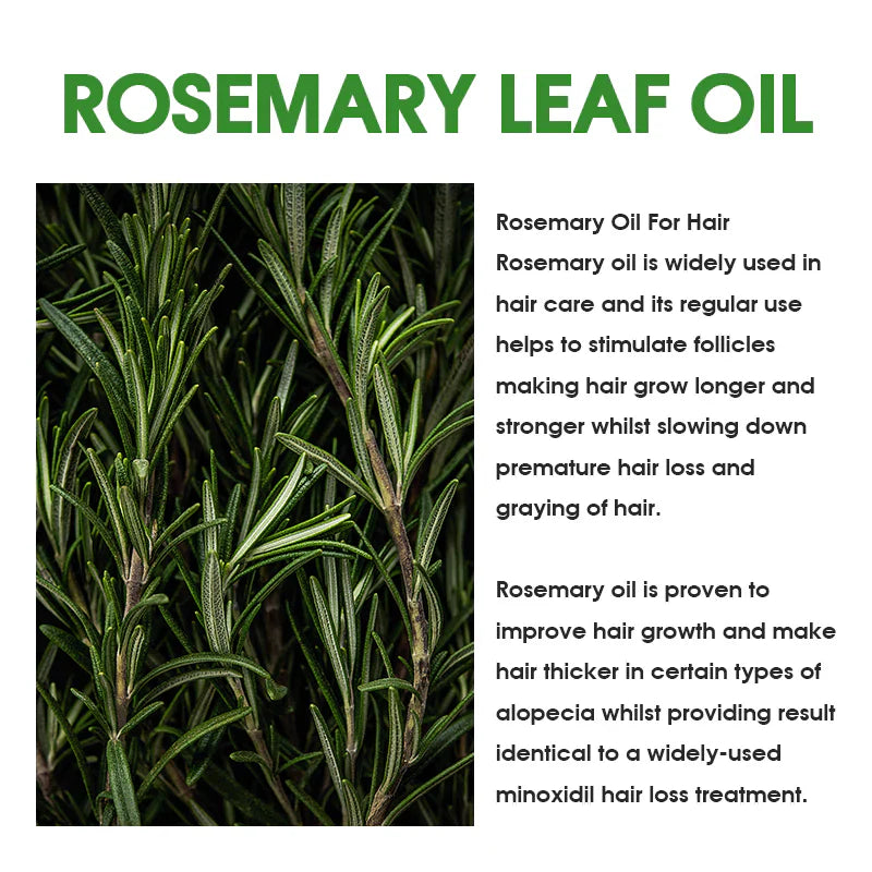 Ruby Beauty Rosemary Essential Hair and Scalp Oil sc-184