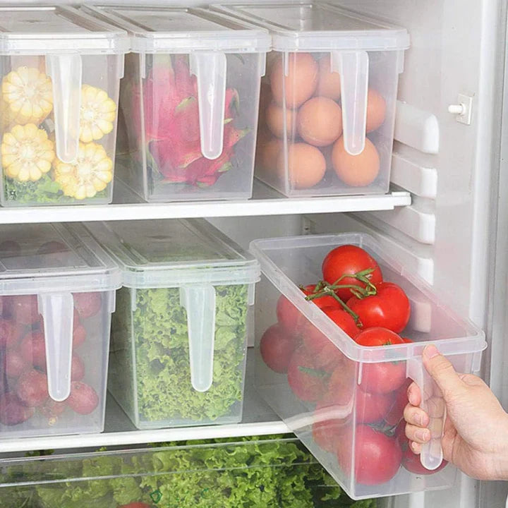 Clear Plastic Kitchen Fridge Holder