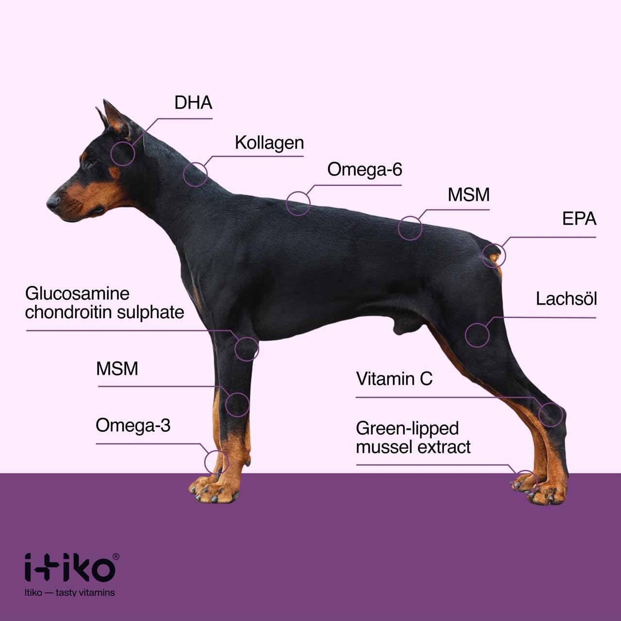 ITIKO Glucosamine Dog Supplements, Bone and Joint Supplement for Dogs with Green-Lipped Mussel, MSM, Chondroitin & Omega-3 | 100-120 PCS of Chews for All Breeds Size