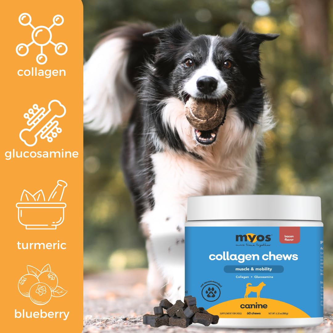 MYOS Canine Muscle & Joint Support Bundle – Fortetropin Powder with Green Lipped Mussel (396g) + Bacon-Flavored Mobility Chews with Collagen & Glucosamine (60 Count) - Medaid International