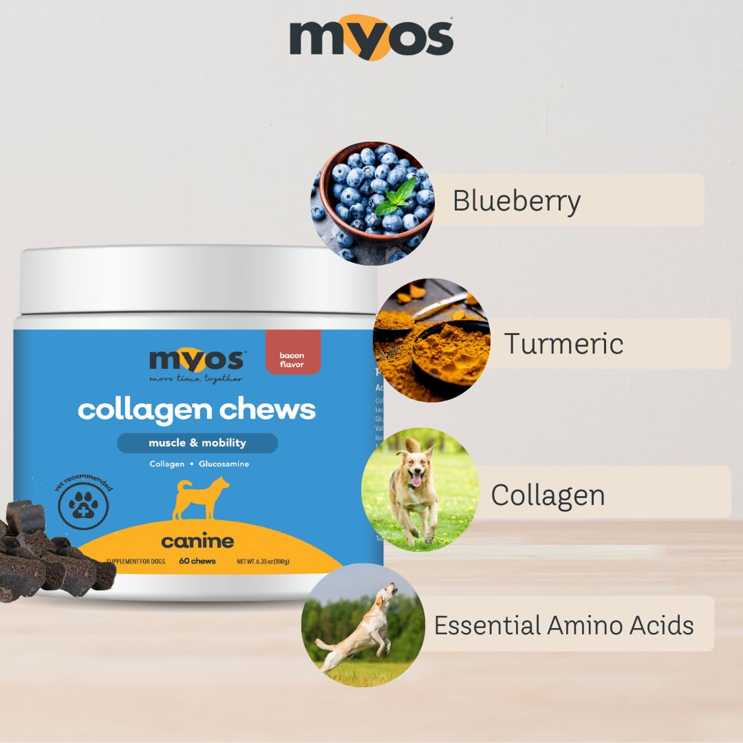 MYOS Canine Muscle & Joint Health Bundle – Fortetropin® Powder (396g) + Bacon-Flavored Mobility Chews with Collagen & Glucosamine (60 Count) - Medaid International