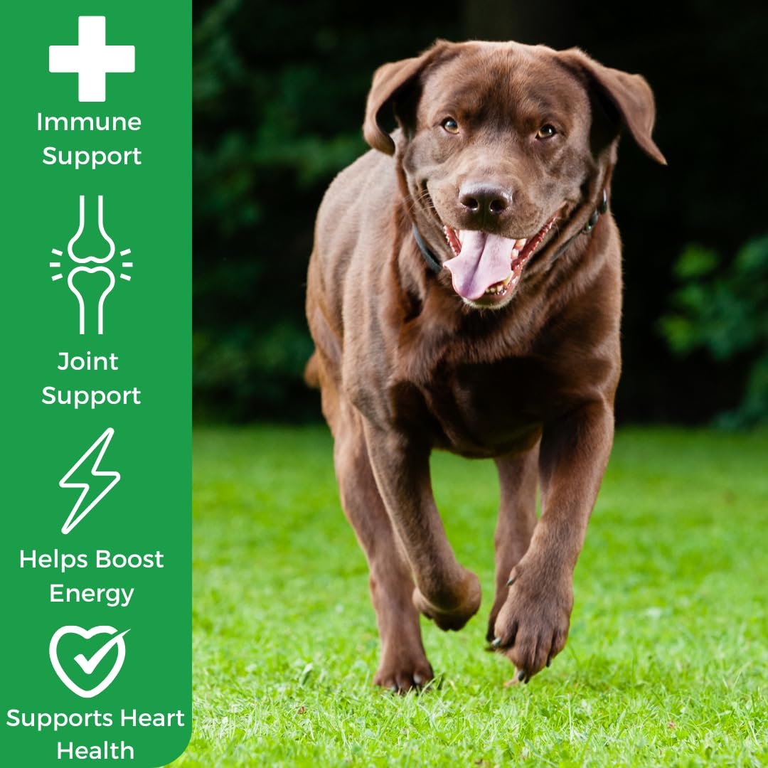 MYOS Immunity Chew for Dogs - Immune System Support, Antioxidants, Helps Cellular Health & Vitality- with Colostrum, Resveratrol, Astragalus Root, and Mushrooms- Daily Chewable Supplement - Medaid International