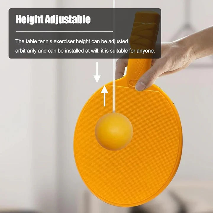 Indoor Hanging Table Tennis