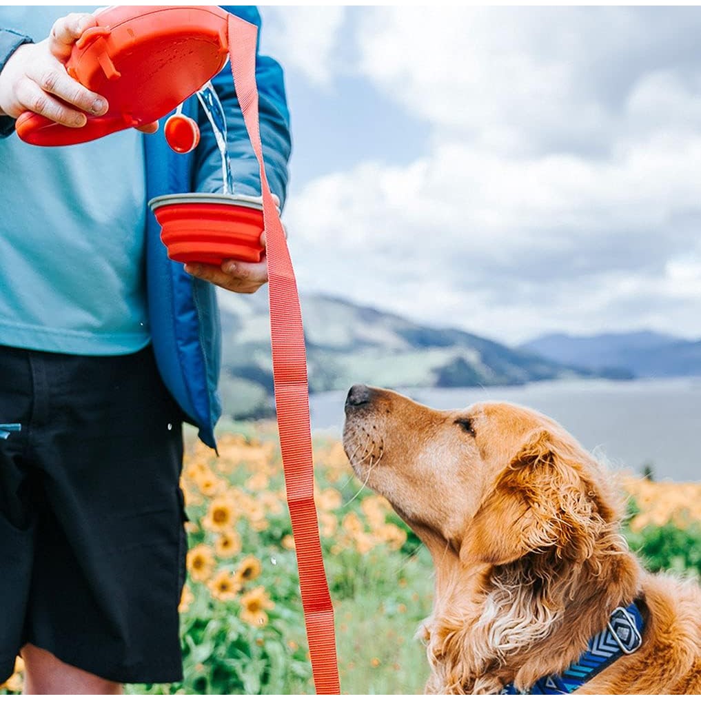 4-in-1 Retractable Dog Leash