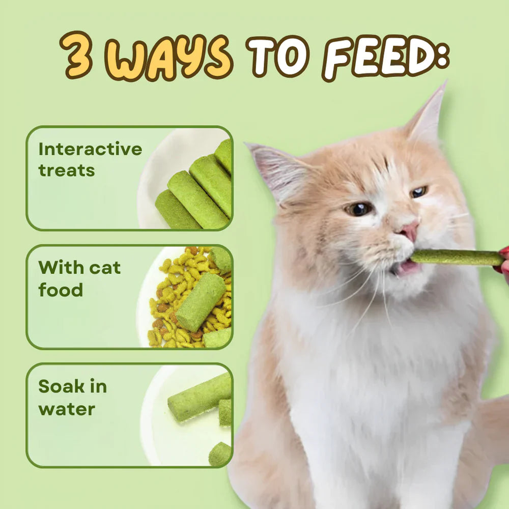 Cat Grass Teething Stick عصا تسنين عشب القطط