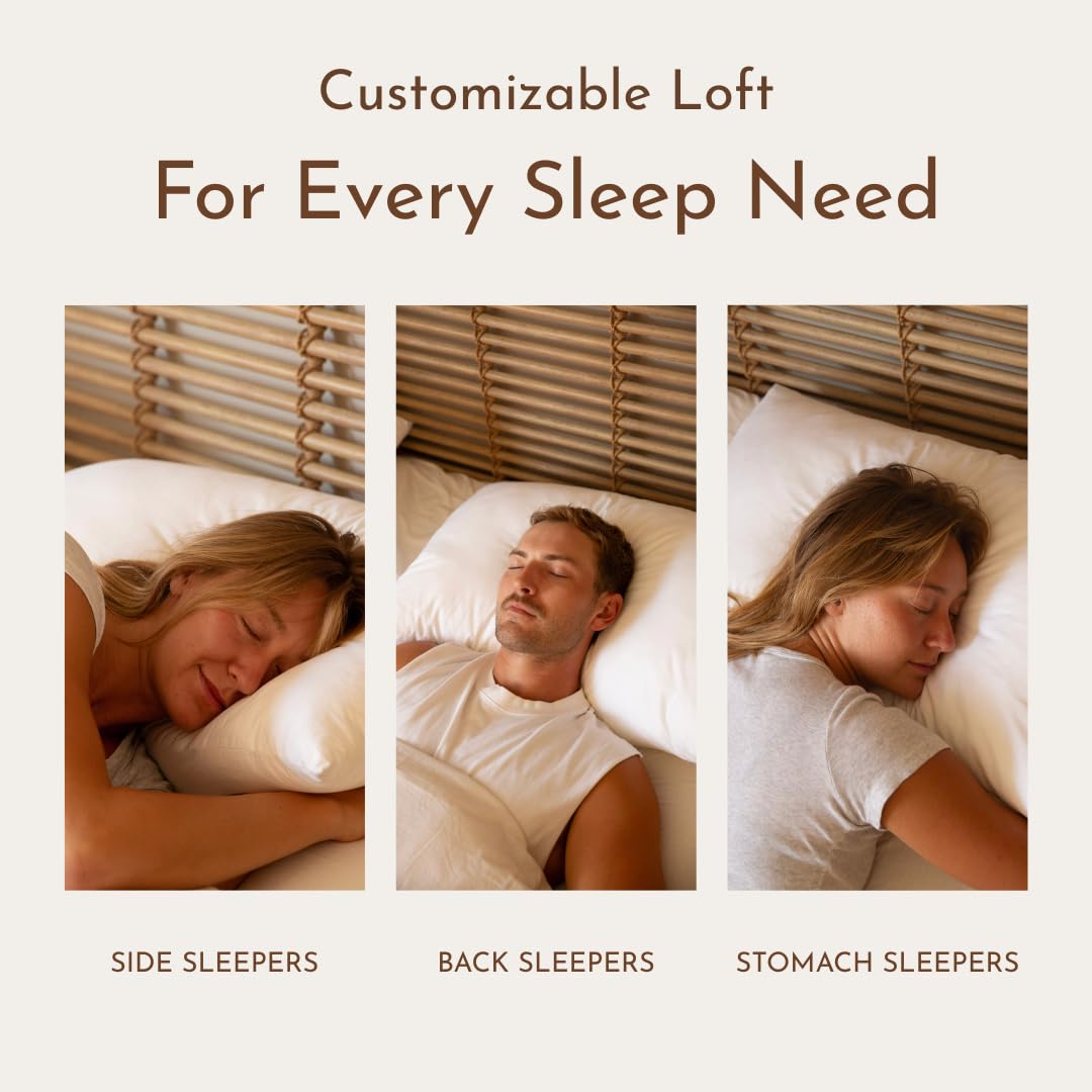 Little Sleepy Head Standard Pillows for Sleeping Standard Hotel Quality Pillows with Adjustable Loft & Down-Like Hypoallergenic Pillow Fill -20" x 26" - Set of 2 - Medaid International