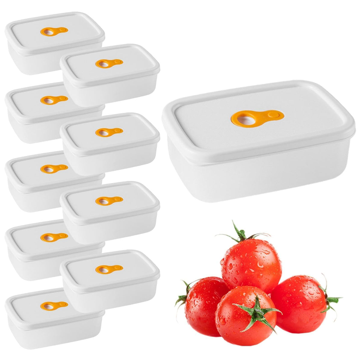 TERRIFI Containers for Food Storage & Meal Prep, 10 Pcs Set (310ml Each), Leakproof Reusable Design with Snap Lids, Ideal for Fruit, Snacks, & Vegetable Freshness