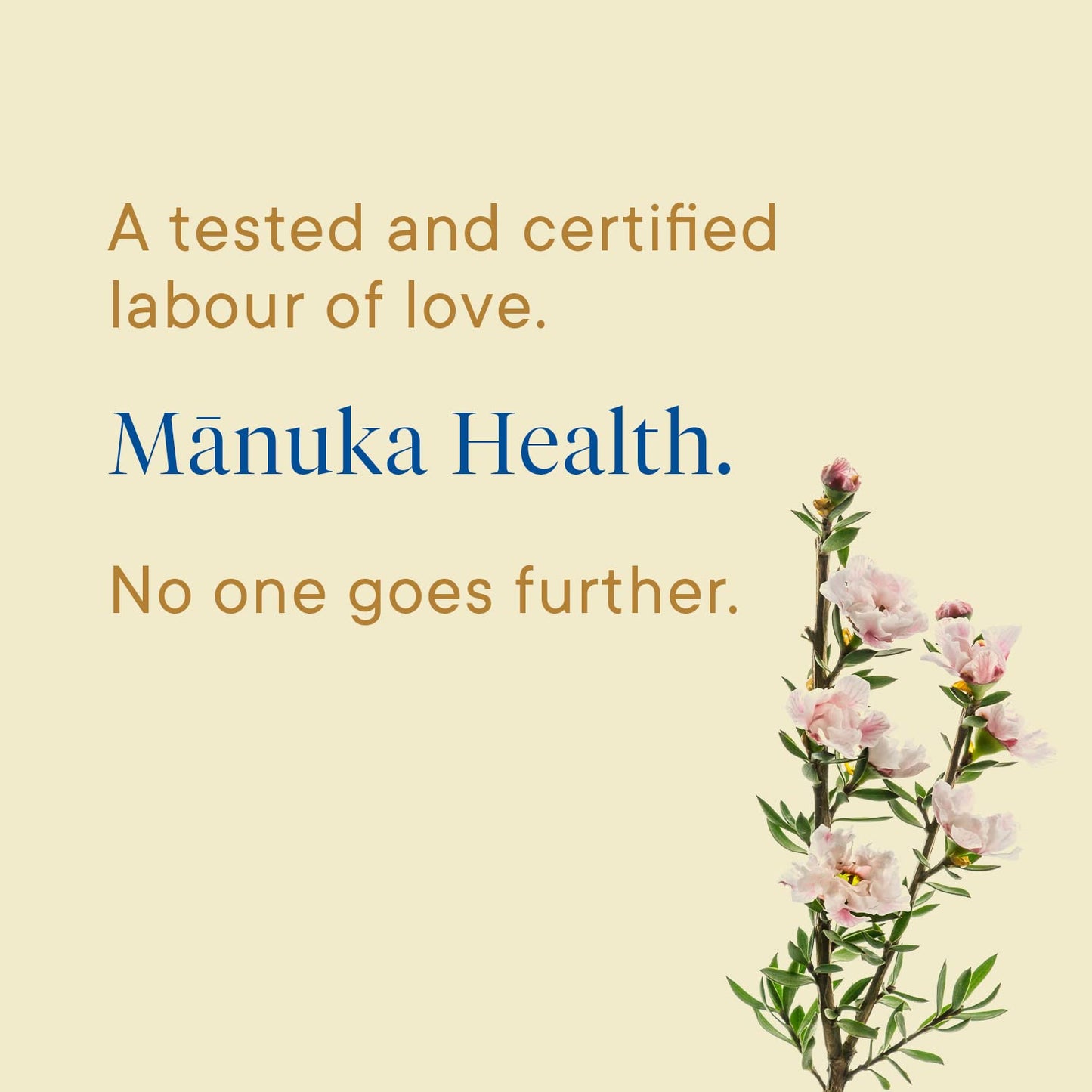 Manuka Health UMF 6+/MGO 115+ Manuka Honey On-The-Go Packets (0.176oz Packets, 12 Count), Superfood, Authentic Raw Honey from New Zealand - Medaid International