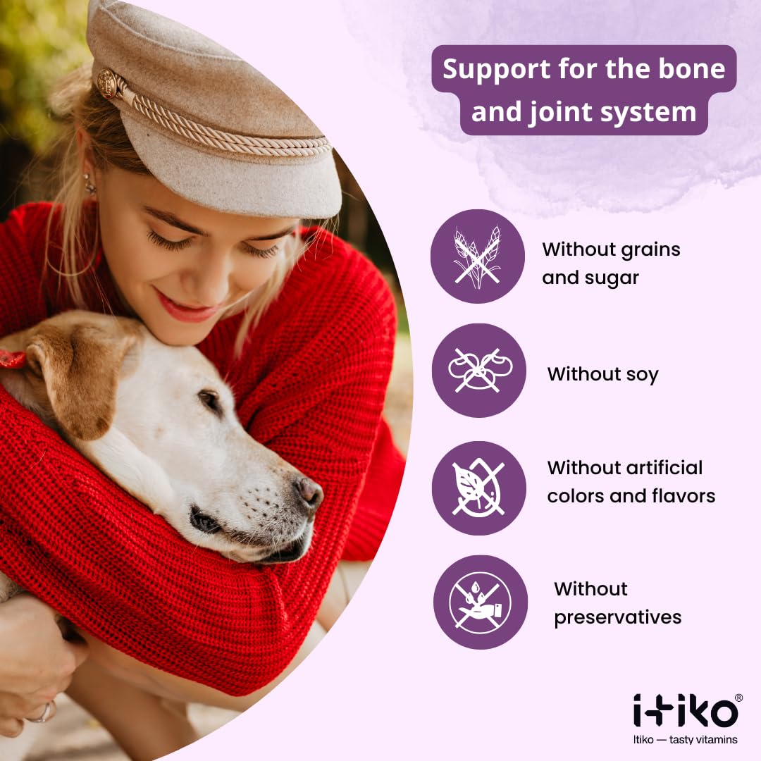ITIKO Glucosamine Dog Supplements, Bone and Joint Supplement for Dogs with Green-Lipped Mussel, MSM, Chondroitin & Omega-3 | 100-120 PCS of Chews for All Breeds Size