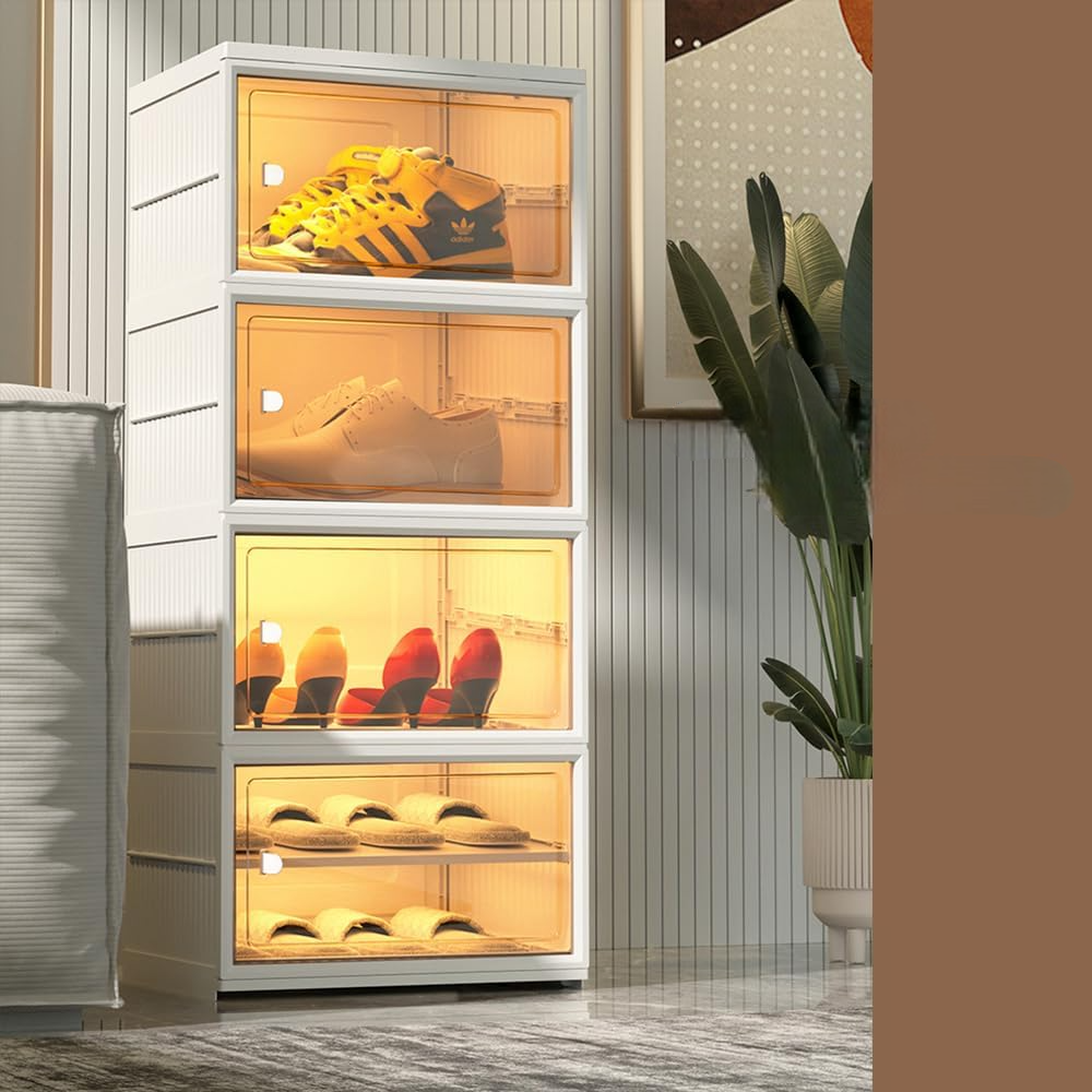 Modern Transparent Shoe Box