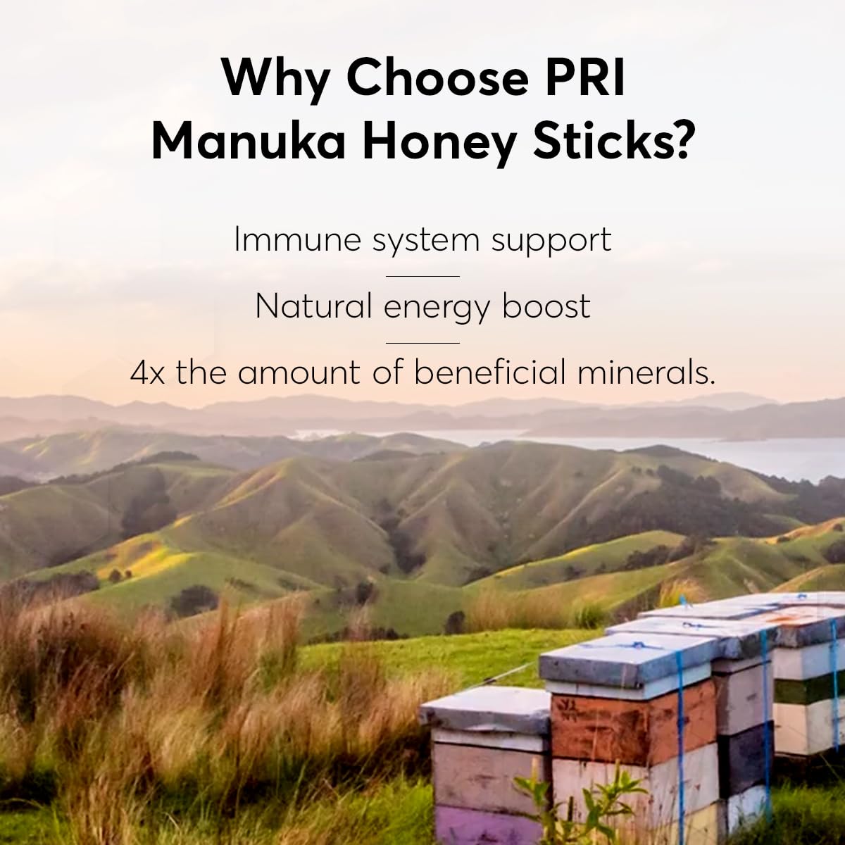 P.R.I Manuka Honey Sticks, Certified MGO 60+, Raw New Zealand Manuka Honey, Perfect for On-the-Go, 50 count - Medaid International