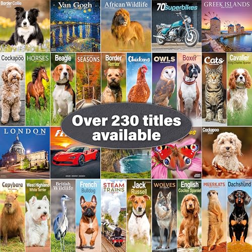 Scottish Terrier 2026 Calendar | Square Wall Calendar | Dog Breed Gift | Plastic Free Packaging | by Avonside Publishing - Medaid International