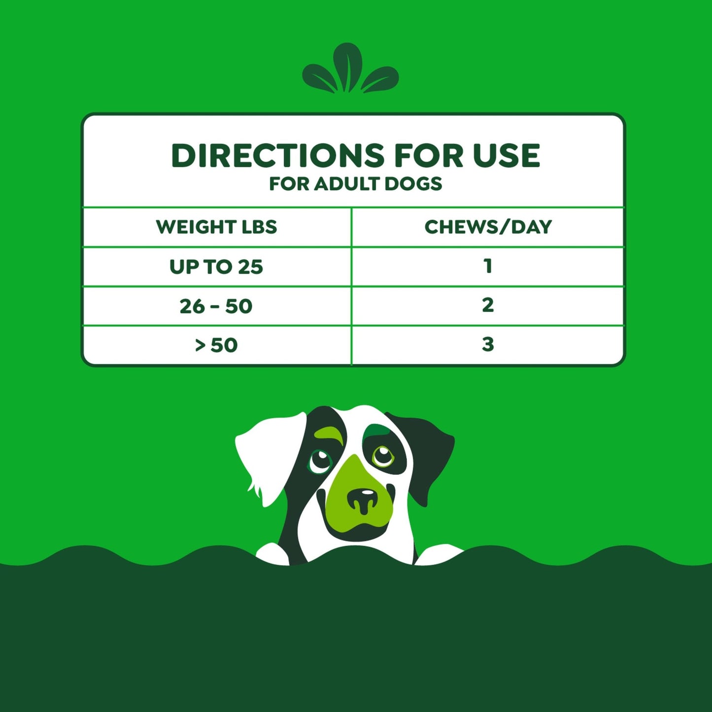 Greenies Supplements Hip and Joint Supplements for Dogs, with Chondroitin & Glucosamine for Dogs, Chicken Flavor, 16.2 oz. Container, 80 Count