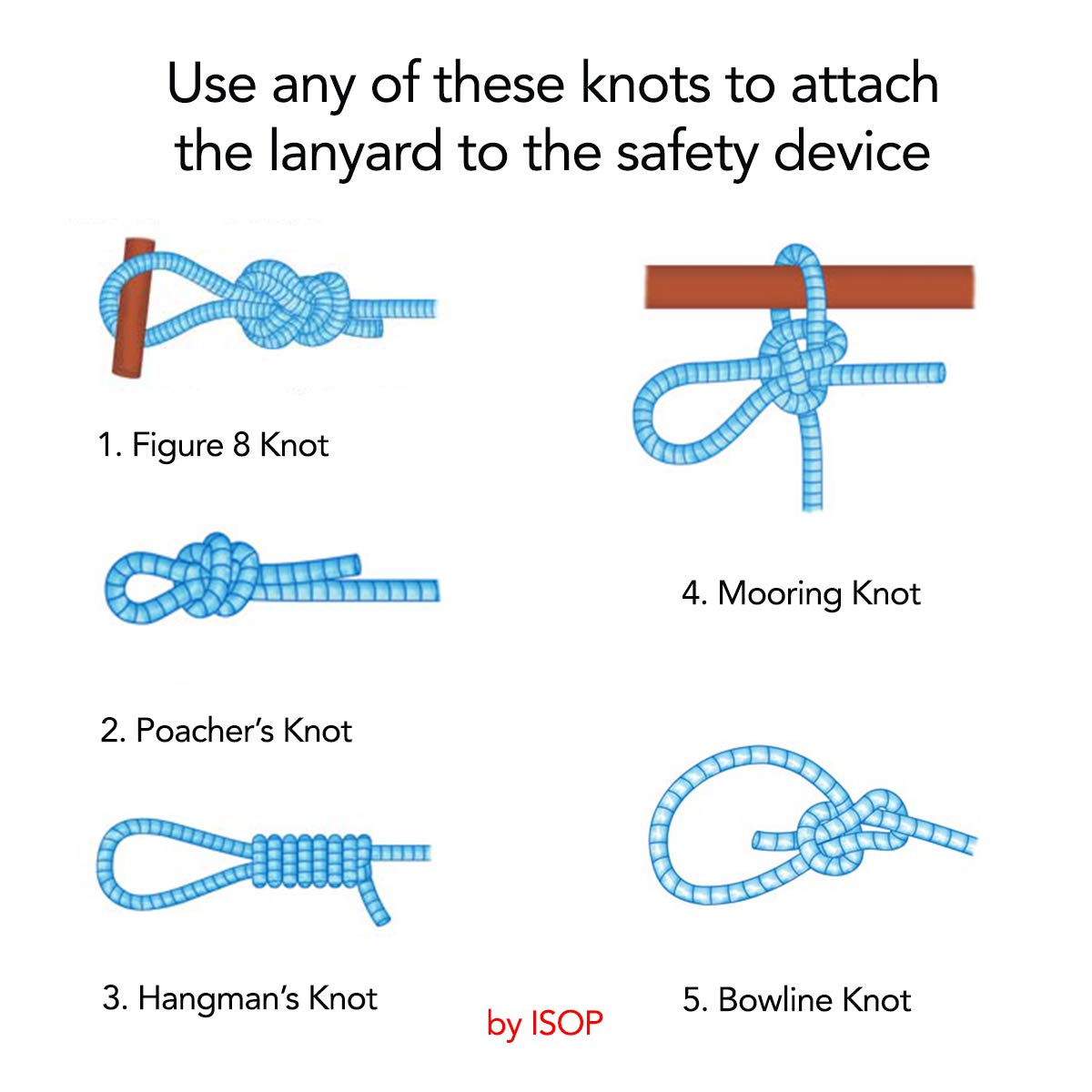 ISOP Fire Evacuation Device for Pets up to 55 Pounds - Compact Safety Equipment - Rope 50 Feet Incl. - Emergency Survival Kit for Animals (Medium 19"x18"x10") Pet Rescue Bag for Dogs & Cats