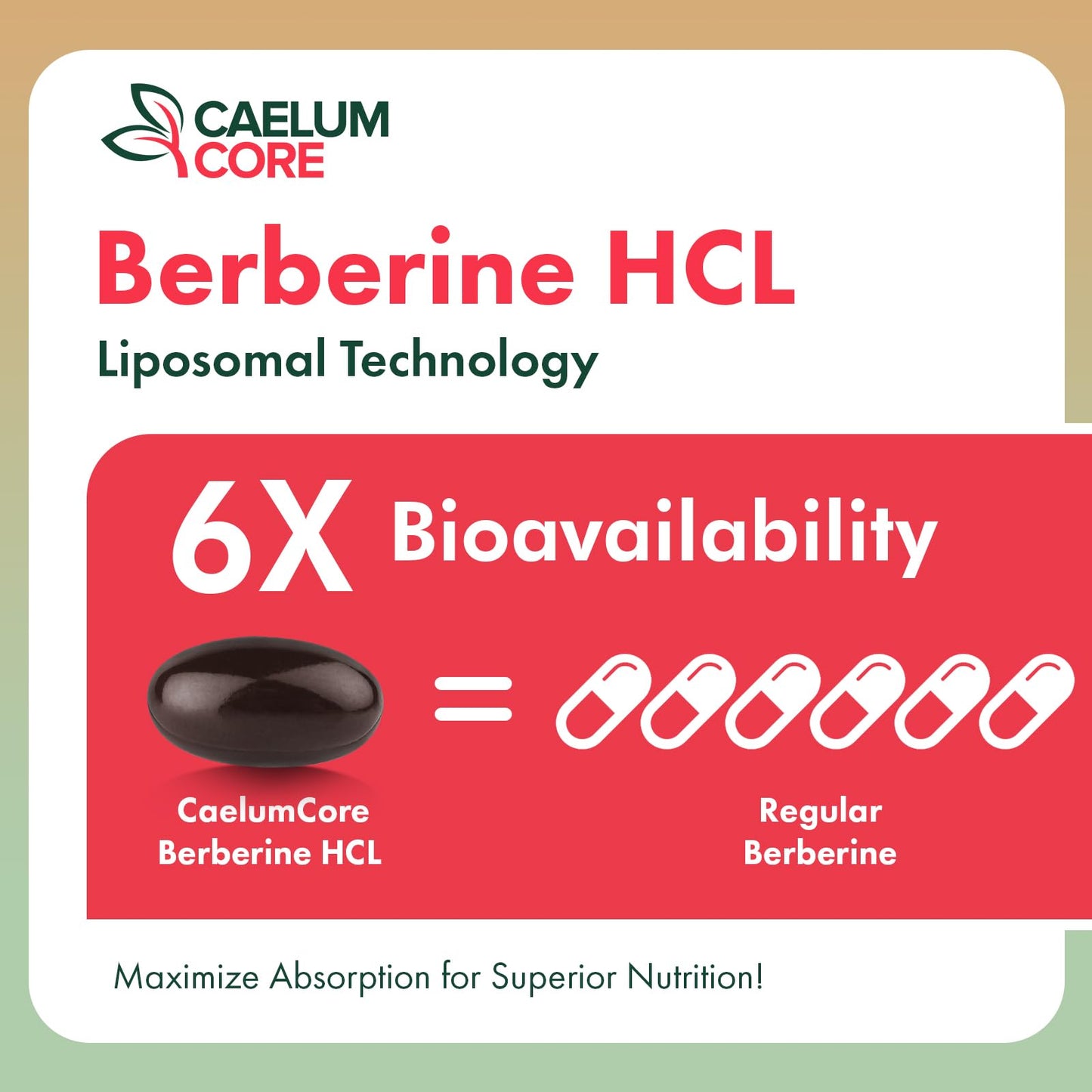 CaelumCore Liposomal Berberine HCL - Berberine 1500mg High Bioavailability, Berberines Supplement for Women and Men (2 Pack) - Medaid International