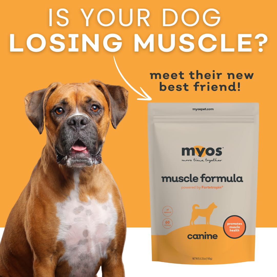 MYOS Canine Muscle Formula - All-Natural Muscle Building Supplement - Helps Reduce Muscle Loss in Aging Dogs and Improve Recovery from Injury or Surgery - Medaid International