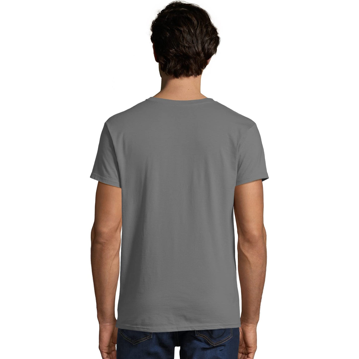 Hanes Men's Nano Premium Cotton T-Shirt (Pack of 2), Smoke Gray, Large - Medaid International