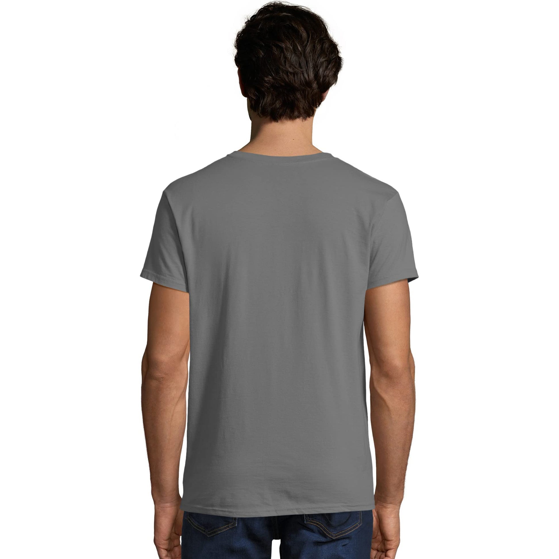 Hanes Men's Nano Premium Cotton T-Shirt (Pack of 2), Smoke Gray, Large - Medaid International