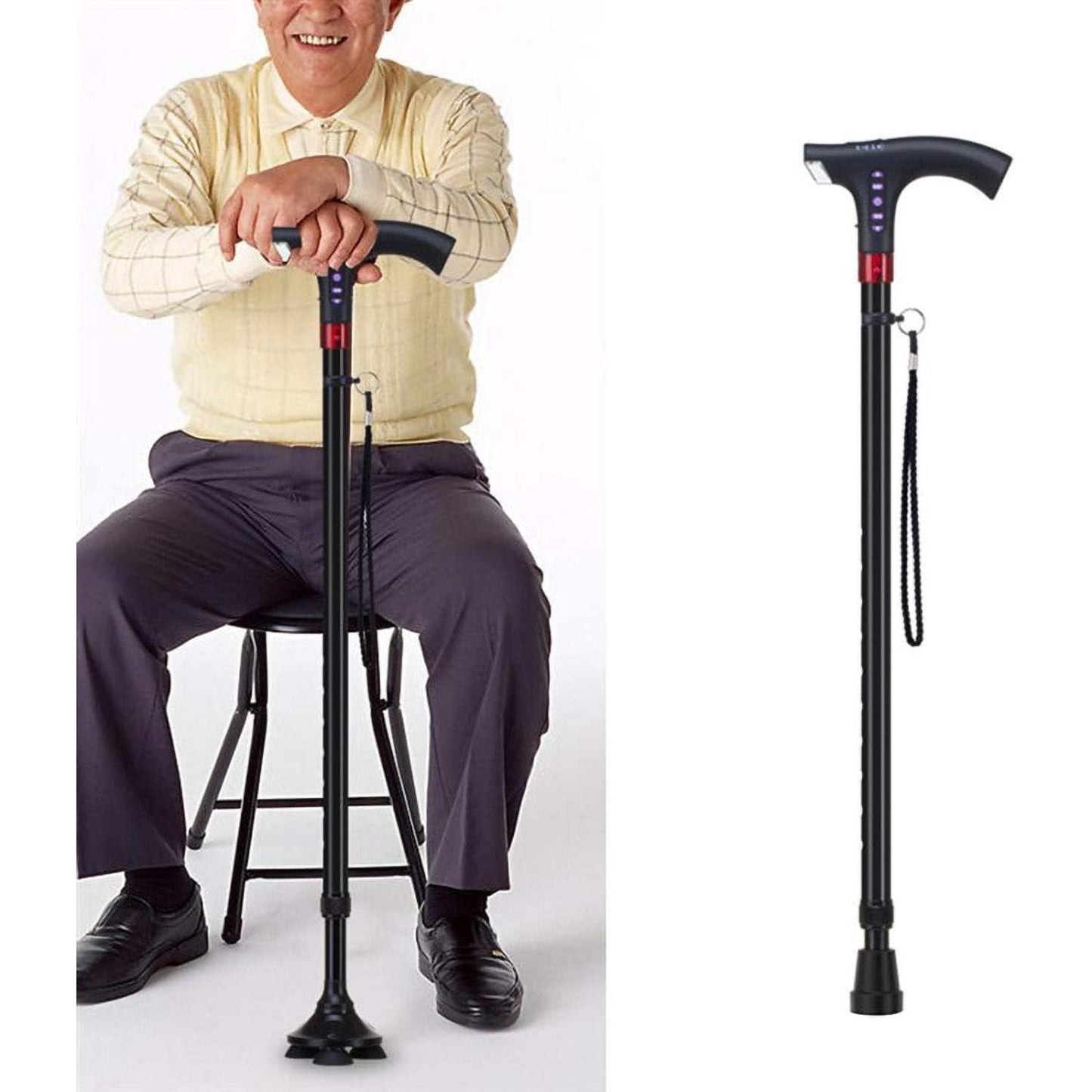 Multifunctional Smart Cane