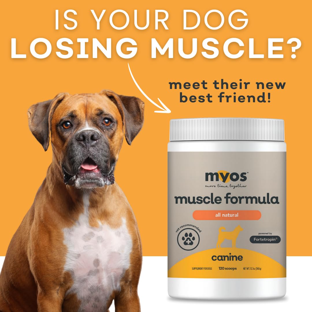 MYOS Canine Muscle & Joint Health Bundle – Fortetropin® Powder (396g) + Bacon-Flavored Mobility Chews with Collagen & Glucosamine (60 Count) - Medaid International