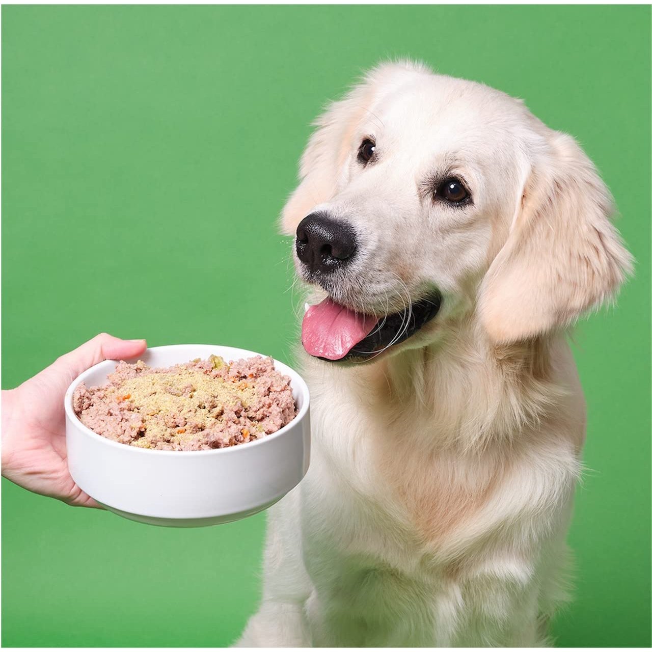 Pooch & Mutt Mobile Bones: Joint + Bone Supplement for Dogs - Medaid International
