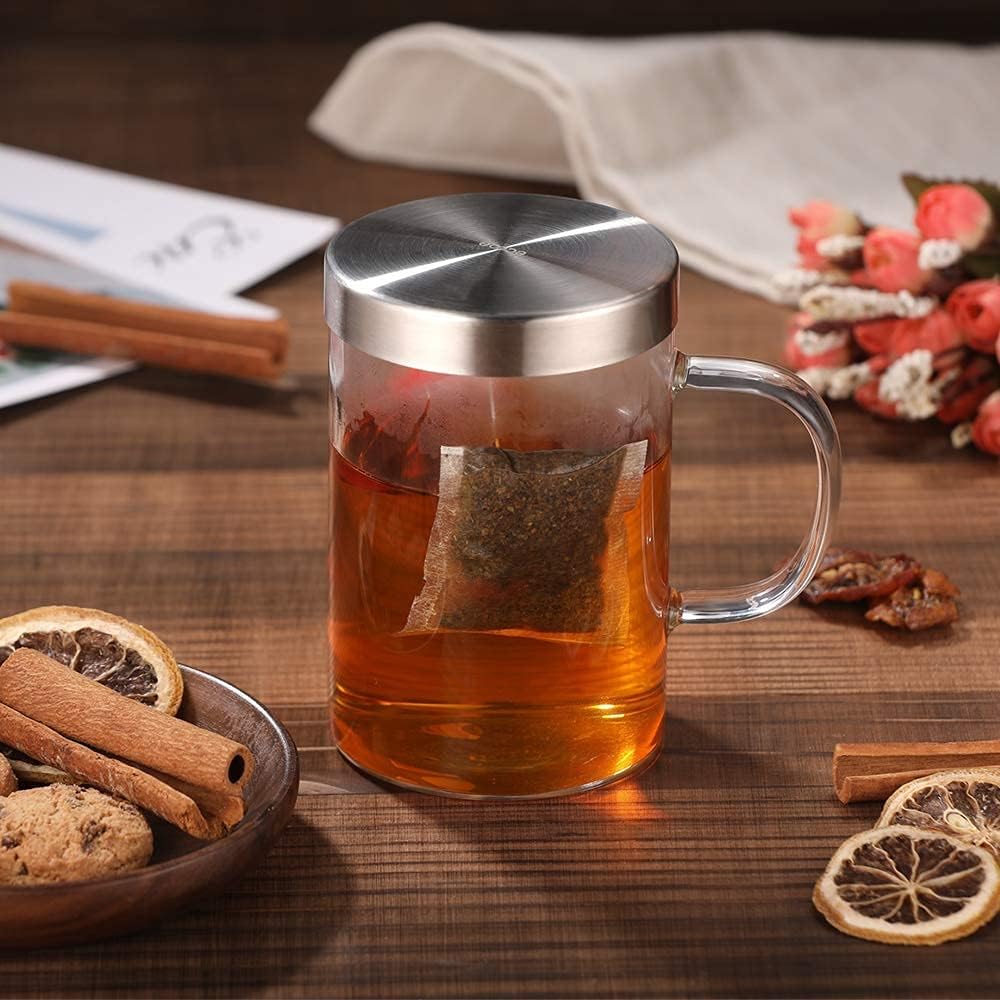 KASTWAVE 16.9oz Borosilicate Glass Tea Mug - Loose Leaf Tea Cup with Stainless Steel Infuser & Lid, Heat Resistant Glass Teacup (430 ml-Use Capacity)
